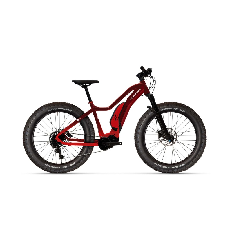Tunturi Emax fatbike